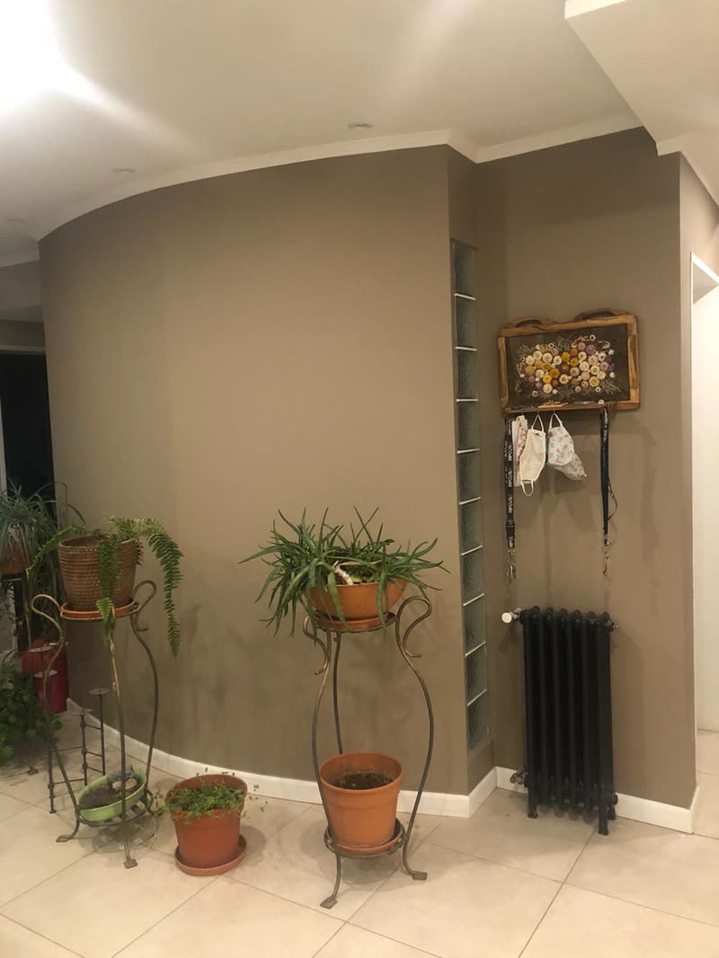Radiador de fundición negro en ambiente con plantas